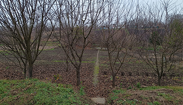 Земельна ділянка. Село Родниківка